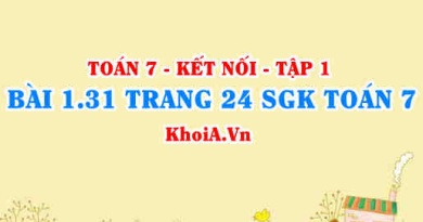 Bài 1.31 trang 24 SGK Toán 7 tập 1 Kết nối tri thức